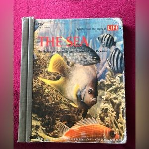 VINTAGE. The Sea: The Strange Animals & Plants of the Ocean.
